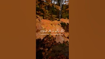 { وكأين من دابة لا تحمل رزقها } | القارئ عبد الإله بن عون