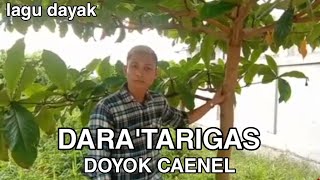 LAGU DAYAK DARA'TARIGAS (Doyok Caenel) official video