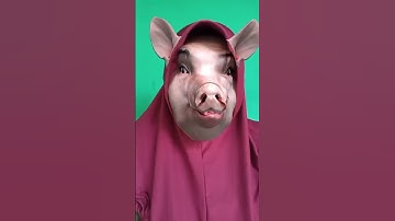 Thumbnail of ciluk babi#shortvideos