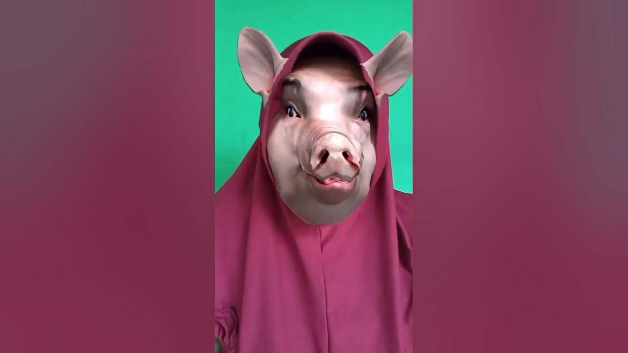 ciluk babi#shortvideos