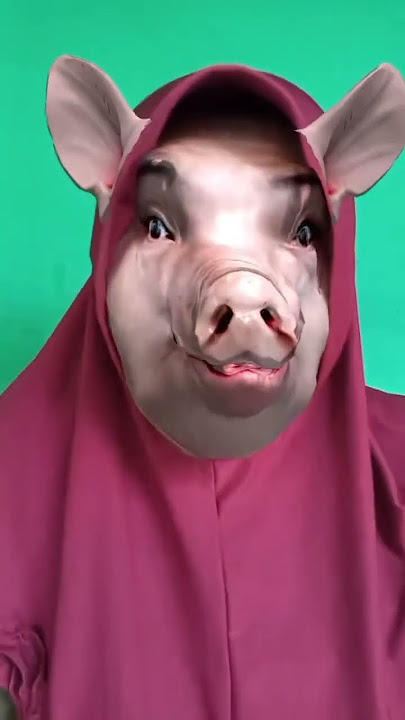 ciluk babi#shortvideos