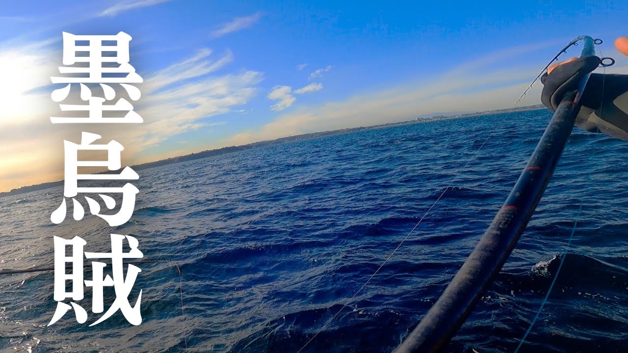 東京湾スミイカ釣りイベント Oretsuriイカゲームfinal レポート Youtube 東京湾スミイカ釣りイベント Oretsuriイカゲームfinal レポート Youtube