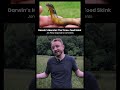 Quiz on Evolution of Live Birth in Animals