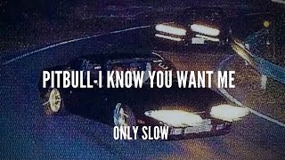 Pitbull I Know You Want Me Slowed + Reverb