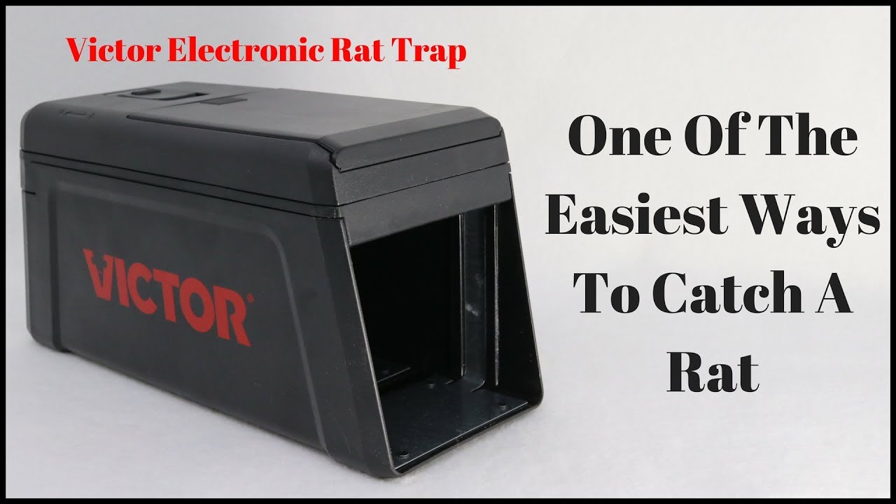 Electronic Traps - Electric Mouse & Rat Traps - 1env Solutions