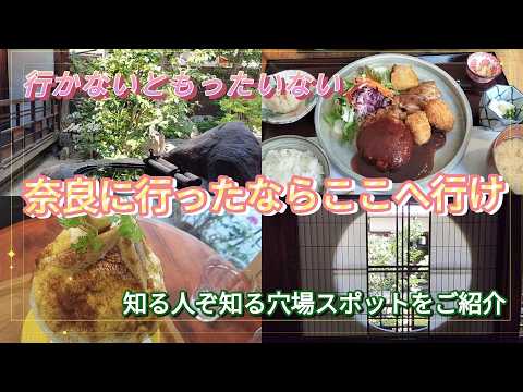 【奈良に行ったならここへ】 鹿🦌しか映えないわけじゃない。パティシエ作ケーキの様なオシャレ創作かき氷に多種多彩な豆腐料理。30年以上続く名店の高速餅つきに伝統的日本家屋など今回も見所沢山☆