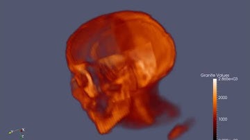 ParaView Granite Plugin - Overlapping AMR