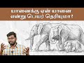 Interesting Facts about Elephant | யானைகள் பற்றிய சுவாரஸ்ய தகவல்கள்  Onriya Uyirinam |Big Bang Bogan