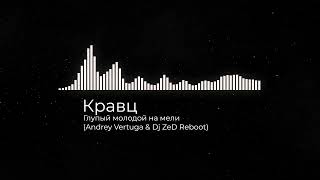 Кравц - Глупый молодой на мели (Andrey Vertuga & Dj ZeD Reboot) (Radio Edit)