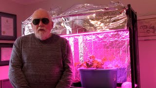 LED Gardening update