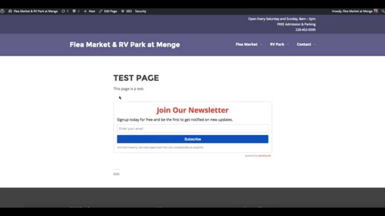 How To Set Up Mailchimp In Wordpress Using MailMunch - YouTube