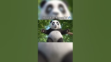 When life knocks you down, just nap again. #sleep #panda #funny #fall