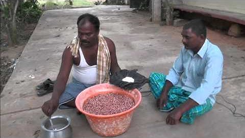 Use & application of Trichoderma viride_SERPCMSA_DigitalGreen_Chittoor_A.P