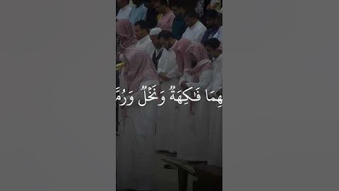 سورة الرحمن ، بصوت الشيخ يوسف الصقير