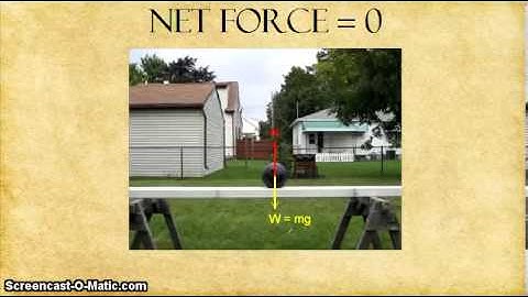 Lab 1: Introductory Physics I with Laboratory