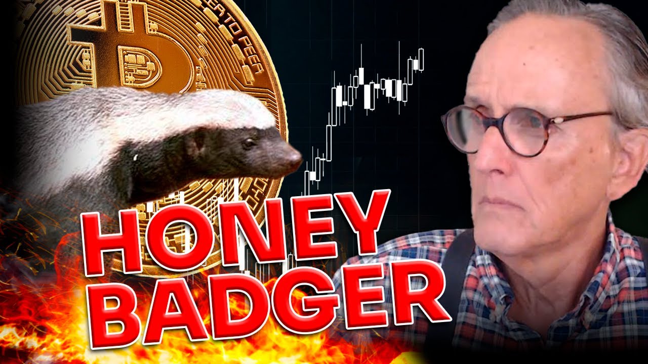 ⭐BITCOIN: HONEY BADGER?