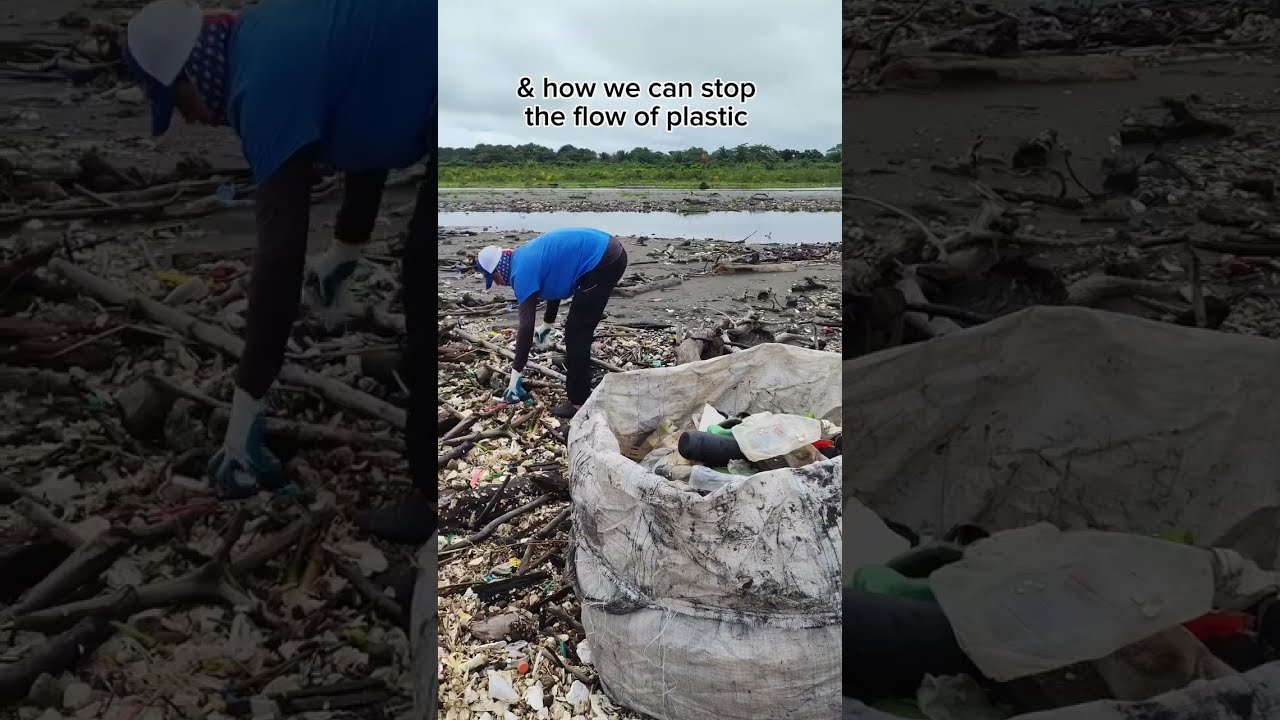 How Do You Respond To Plastic Pollution Beaches Ocean Sustainability