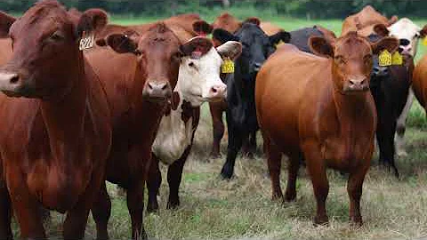 Invasive Species - Agriculture Best Management Practices