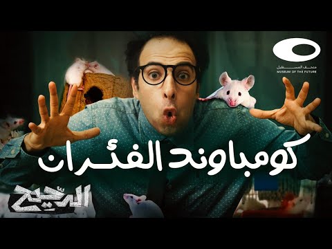 فيديو: لماذا يحتاج الساموراي حذاء من القماش المشمع