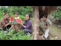 Duongs grandmothers watermelon field  duongs grandfather silently gave him a puppy