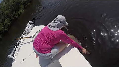 Redfish Rene Pine Island Sound