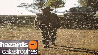 Return of the Bible Plagues Part 4: Locusts | Full Documentary