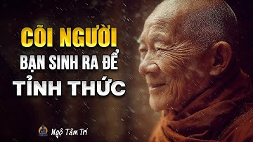 CÕI NGƯỜI Không Phải Để HƯỞNG THỤ - Mà Là Để TỈNH THỨC | Ngộ Tâm Trí