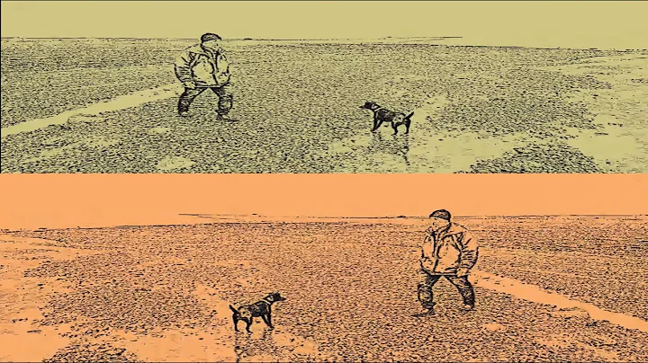 Kev Hopper - The Dog Walker