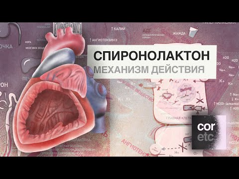 Видео: Кто может назначать спиронолактон?