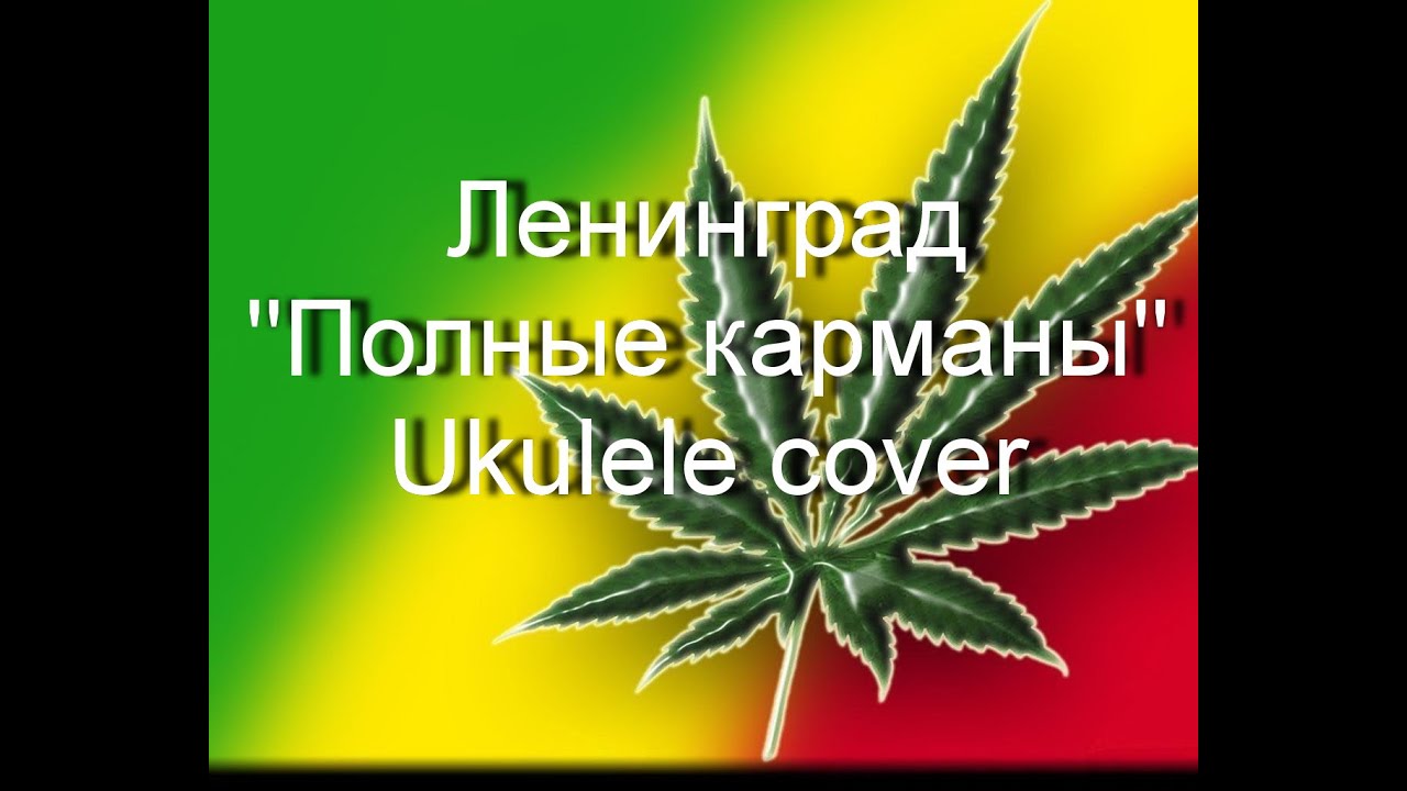 Аккорды ленинград марихуана в каких странах есть легализация марихуаны