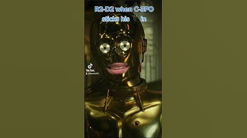 R2-D2 and C3PO spend time together