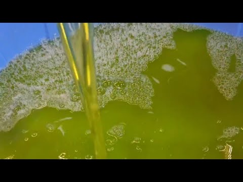 عملت10لتر صابون سائل المواعين ب2جينه بسسس