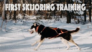 First Skijoring Training