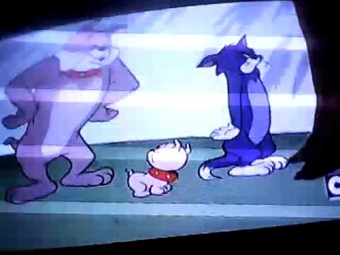 Tom and Jerry - YouTube