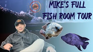 Hundreds of Cichlids of all Types...Mikes Full Fish Room Tour