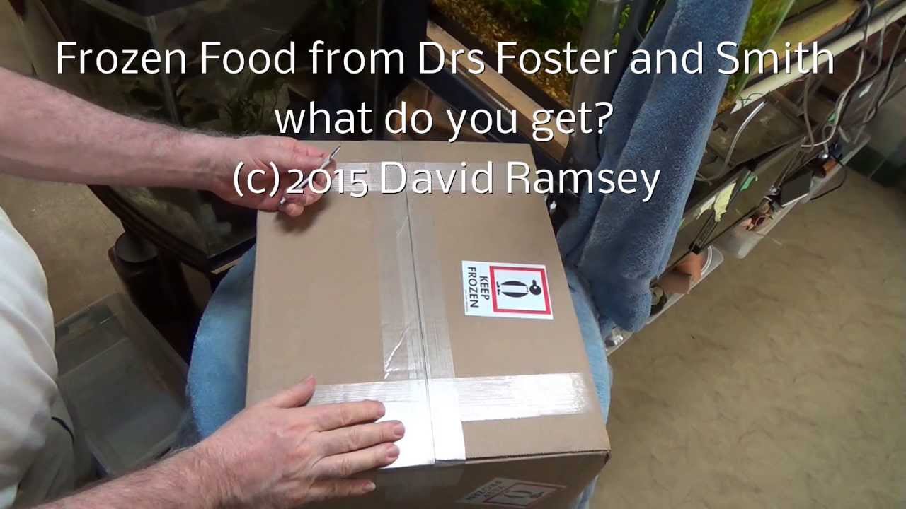 Frozen Fish Food Delivery YouTube