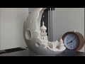 Moon city stabilized 3d printing timelapse