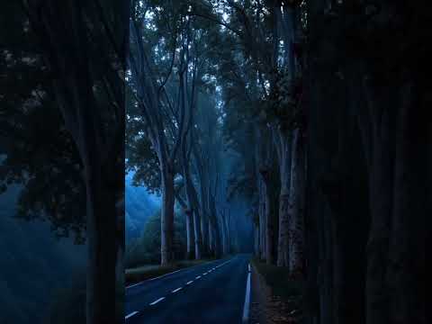 ۳ اوت ۲۰۲۵ نجاتم بده