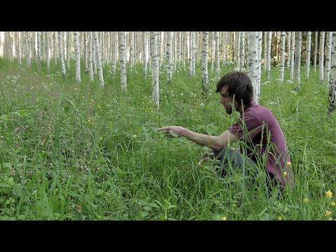 Video: 3 tapaa puhdistaa kanin häkki