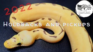 Holdbacks and Pickups For the Future! A Review Of How Our Collection Grew in 2022!