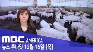 &quot;돼지고기 값 폭등&quot;...동물학대 방지법 추진- MBC AMERICA (2021년 12월 …