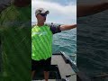 Wide Open Waters-Dipsy Diver Walleye Trolling