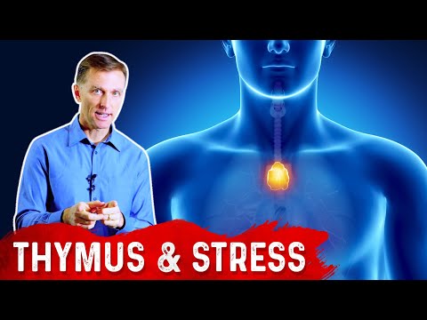 Thymus, the Missing Link in Viral Protection