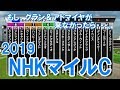 NHKマイルC 2019 シミュレーション【StarHorsePocket(SEGA)】