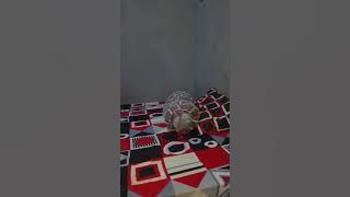 STORY WA KEREN TERBARU 2023||STORY WA KAMAR AESTEHTIK
