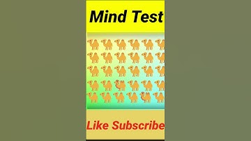 Memory 🧠Test #5 | Riddles And Puzzles For IQ🦾 Test | #shorts #memory #test #iq
