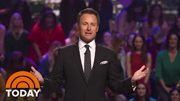 Did Chris Harrison create The Bachelor?