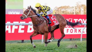 Wolfden OGs - Golden Slipper 2026 @WolfdenApp