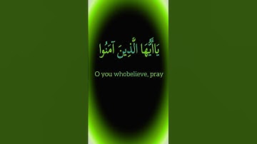 كروما ملونة#ان الله وملائكته يصلون على النبي#الشيخ محمد صديق المنشاوي  #سورة الاحزاب#قراءن كريم#راحة