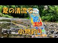 夏。涼しい川の小物釣り。